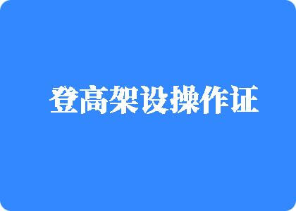 想看美女骚逼被草网站登高架设操作证